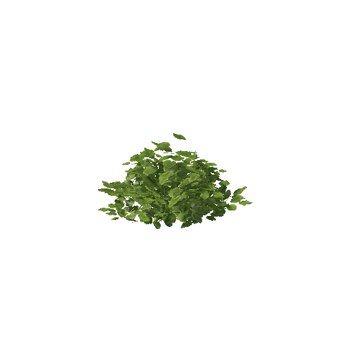 Plant 36_LOD_2